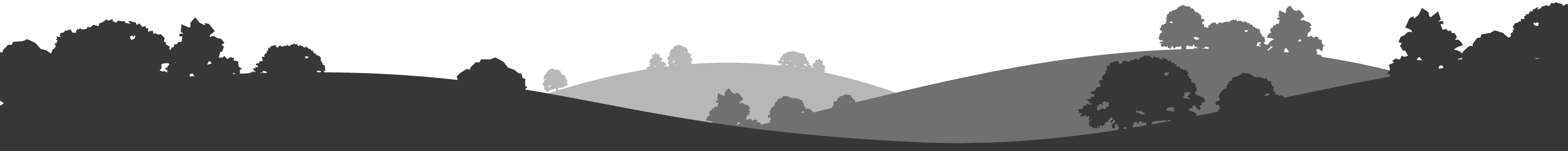 footer-shape